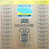 Trueliving_Trojan Classic 8 ft x 4 ft MR Grade Plywood - 6 mm_Plywood_ 53/Sq. Ft.